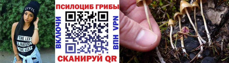 где найти наркотики  Фролово  Псилоцибиновые грибы GOLDEN TEACHER 